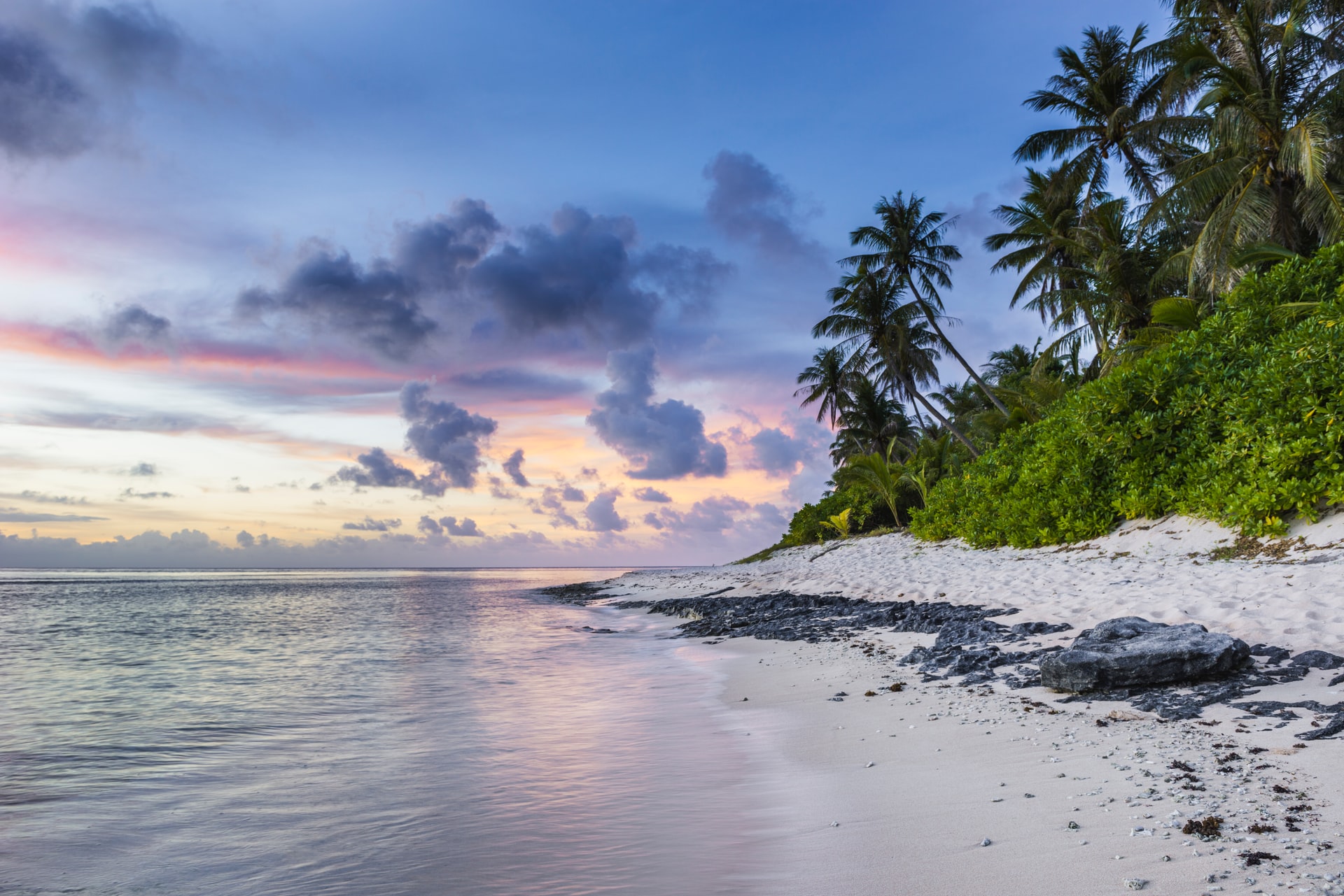 Purple sky as sun sets over white sand beach with tall palm trees