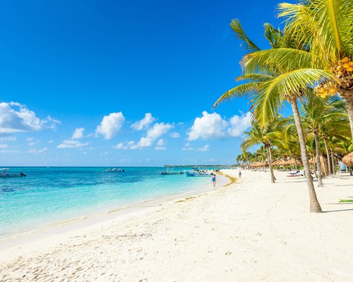 Idyllic tropical beach with white sand, clear blue sea and tall palm trees