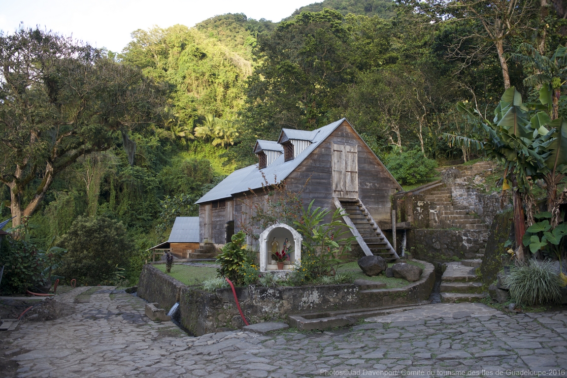Old wooden building surrounded by tall trees