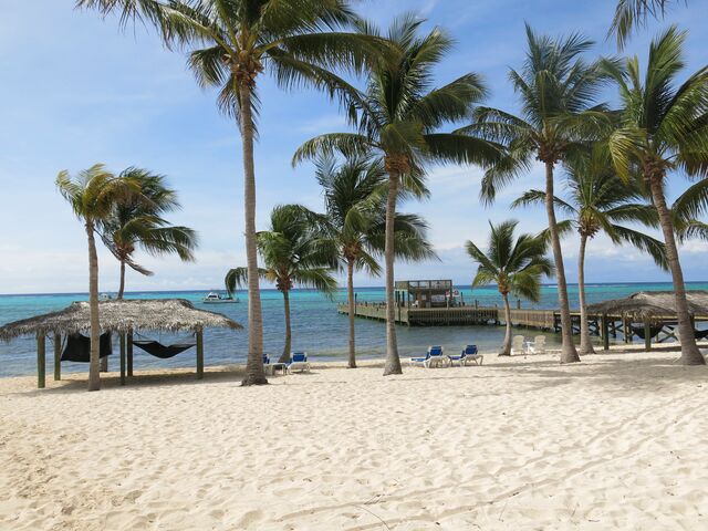 Palm trees swaing on white sand with beach huts - Sandy Point, Little Cayman 