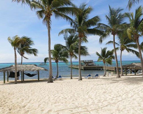 Palm trees swaing on white sand with beach huts - Sandy Point, Little Cayman