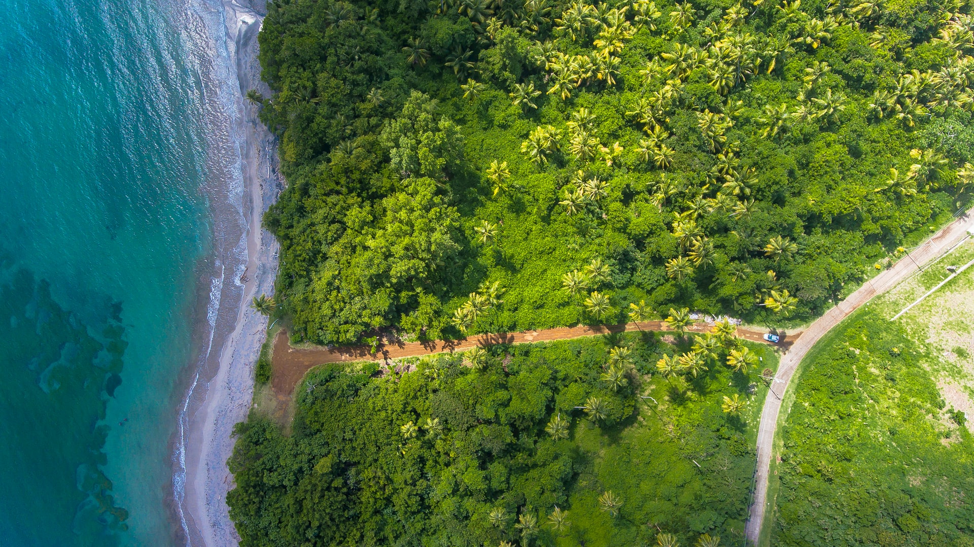 Aerial view of a narrow road through a forest in Grenada