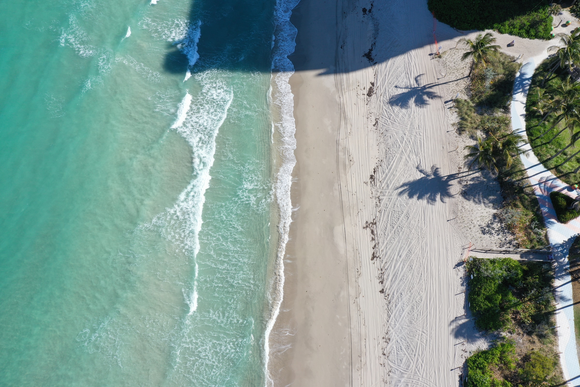 Aerial photo of a beach in Florida with foliage on the right