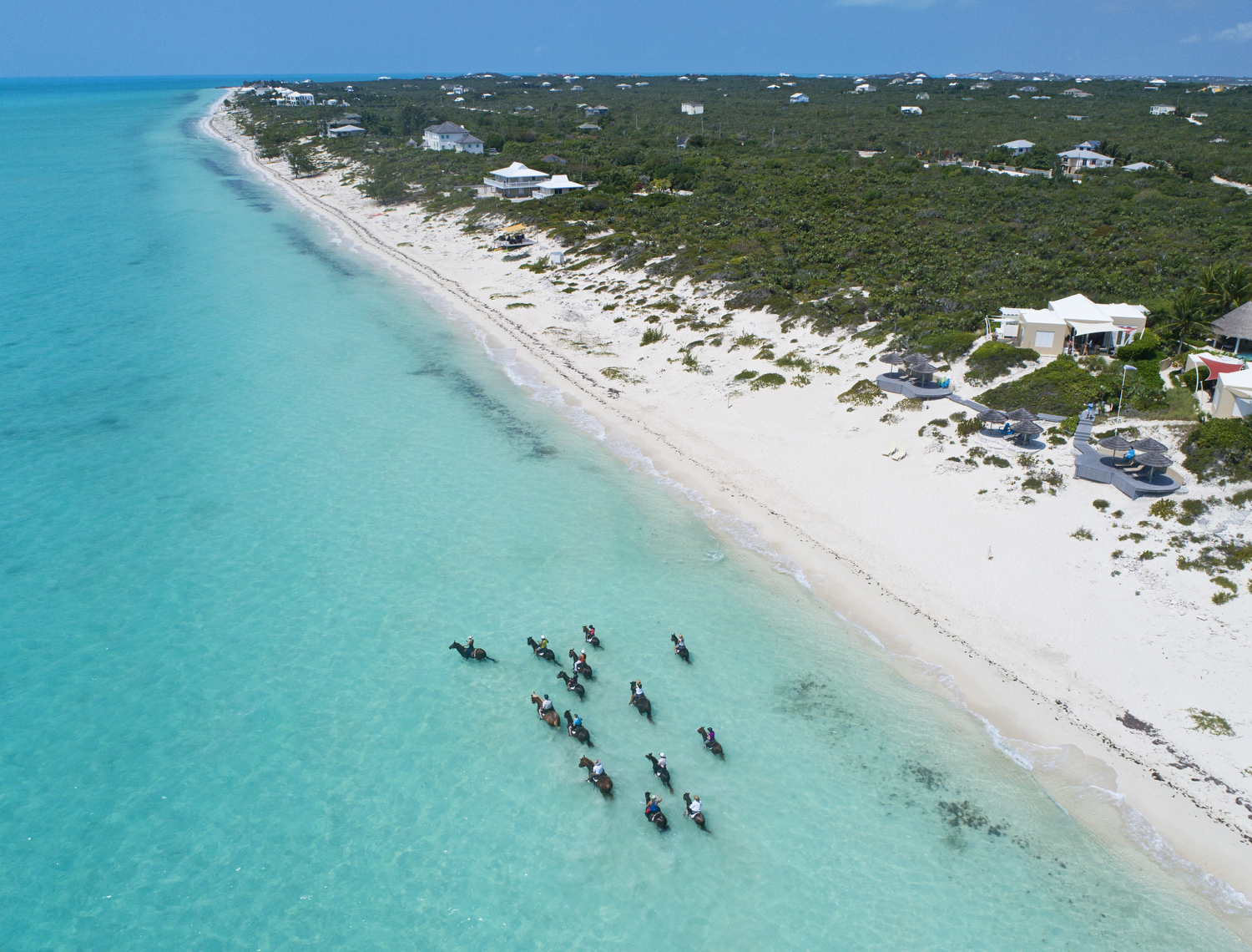 Group of people on a horse riding tour through the shallow sea in Turks And Caicos