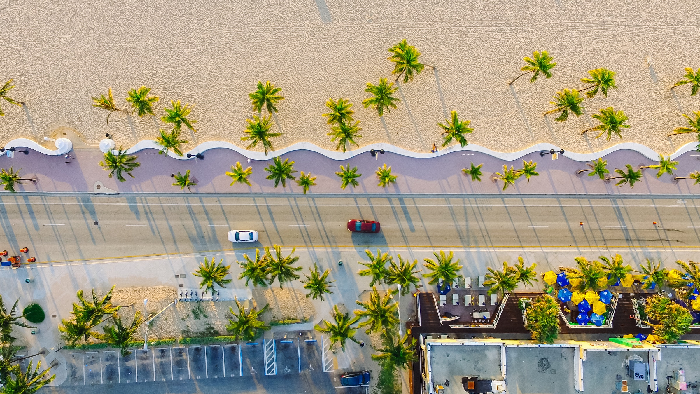 Busy road of Miami by the beach dotted with palms