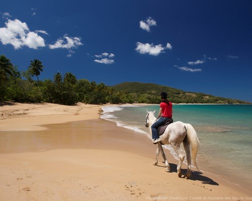 A woman in red t-shirt riding a white horse along a light-sand tropical beach
