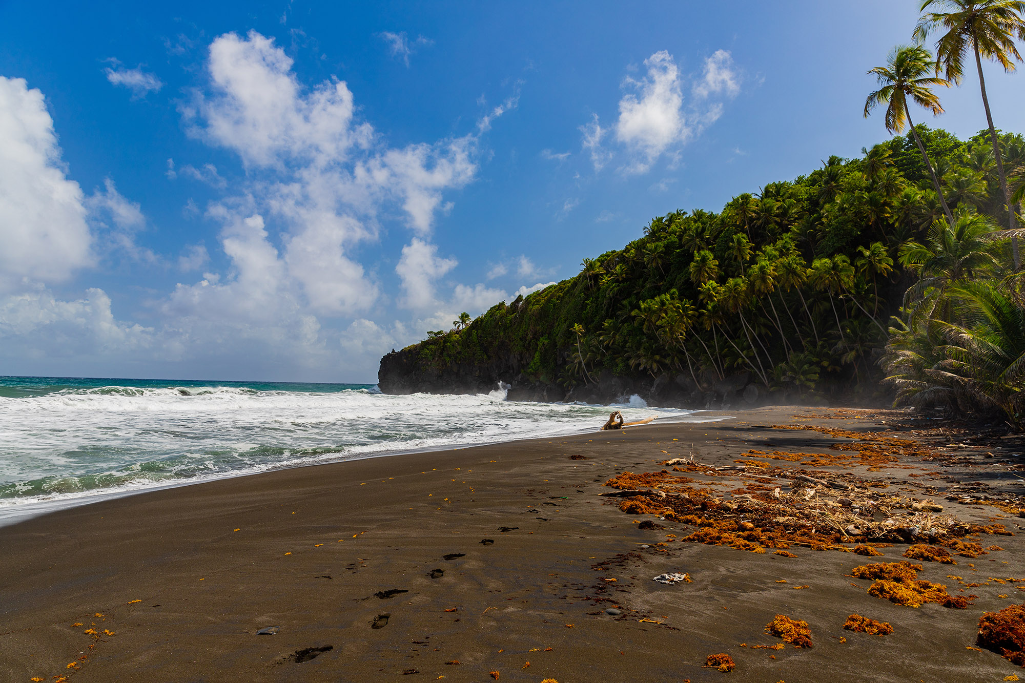 Small waves crashing on a black sand Caribbean beach