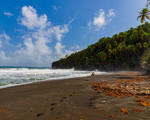 Small waves crashing on a black sand Caribbean beach