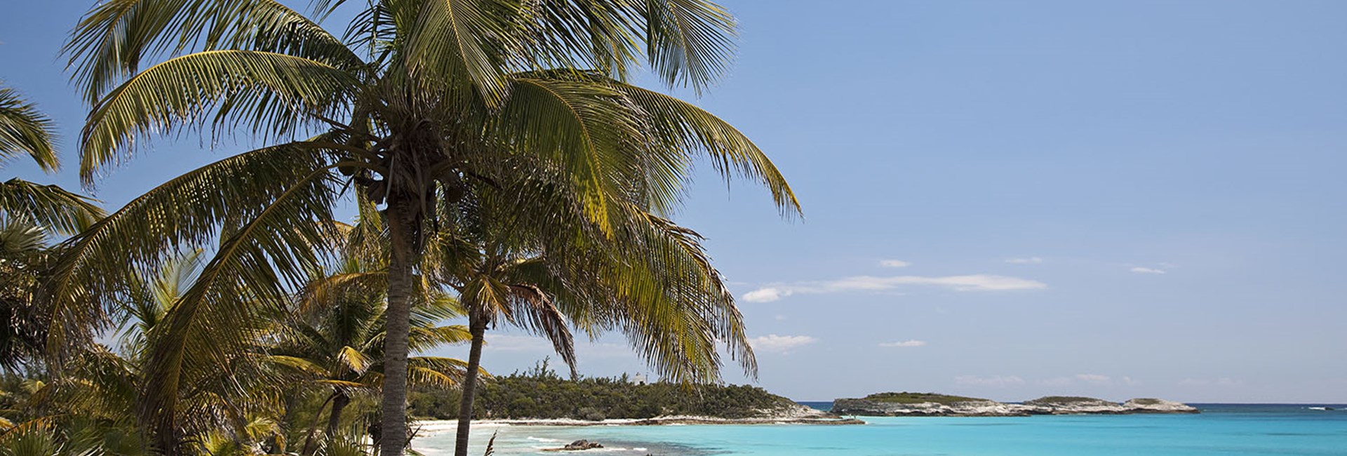 https://www.sno.com/media/mvafkmuz/palm-trees-on-the-beach-at-lighthouse-bay-eleuthera.jpeg?anchor=center&height=650&mode=crop&rnd=132838655985170000&width=1920