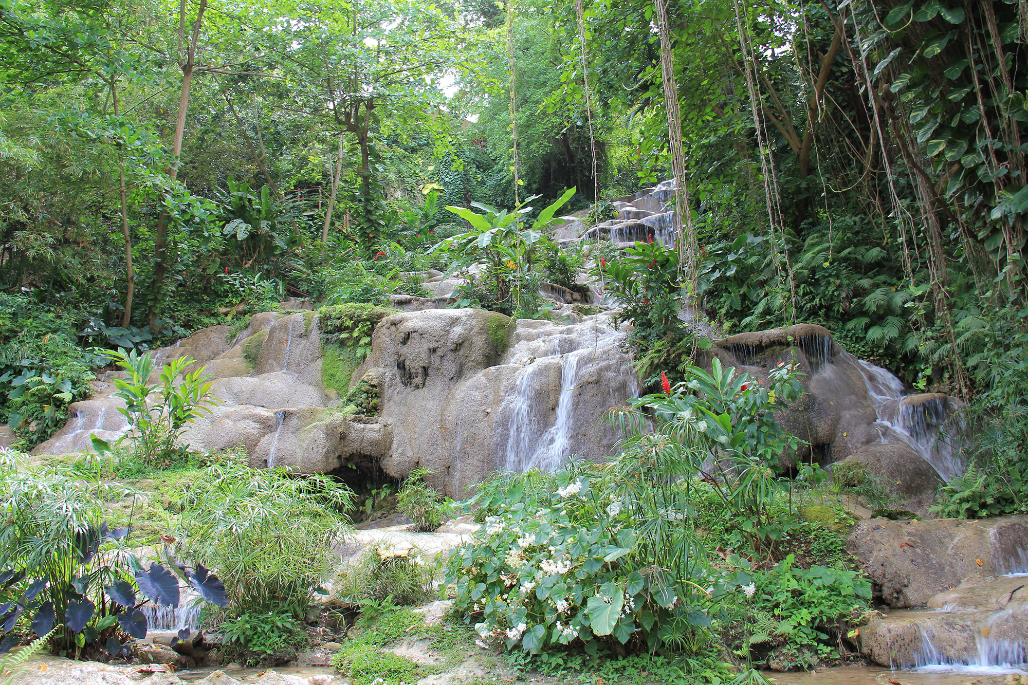 A waterfall cascading down a rocky hill in the middle of a jungle