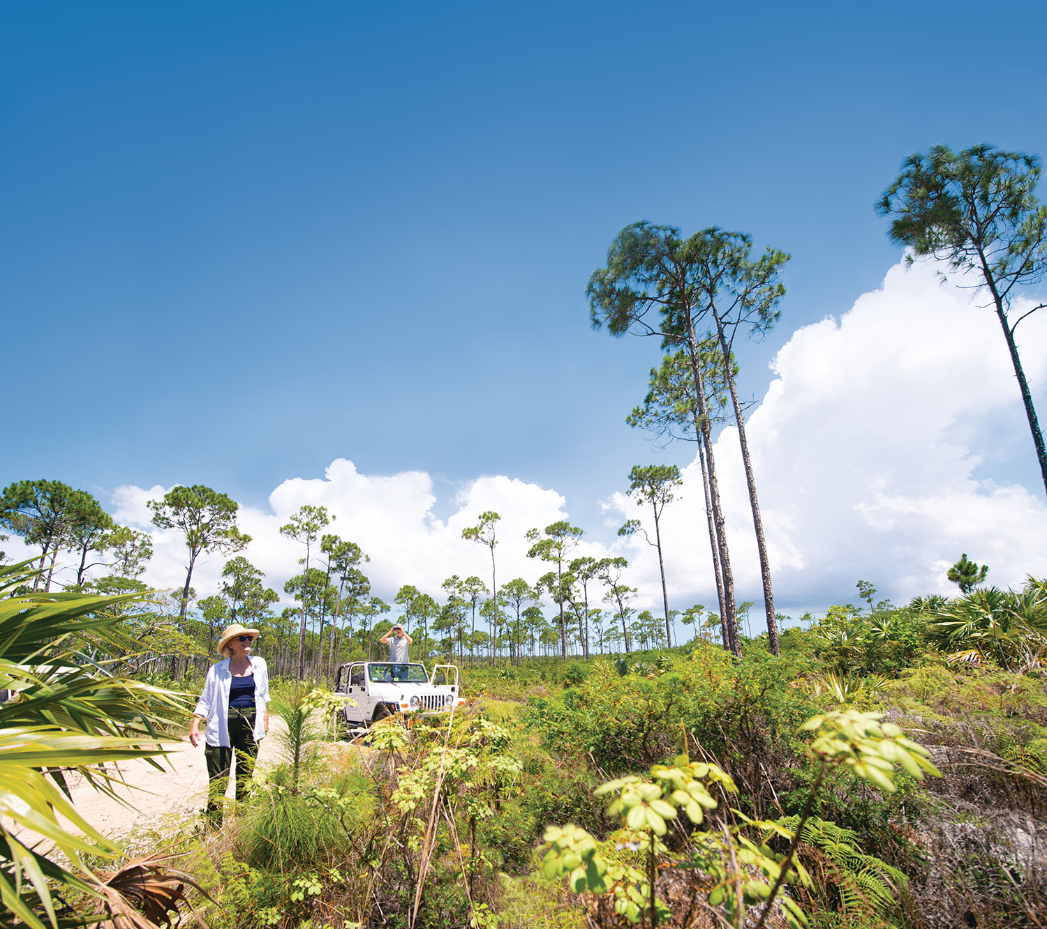 Older couple on jeep safari tour through a National Park in Bahamas