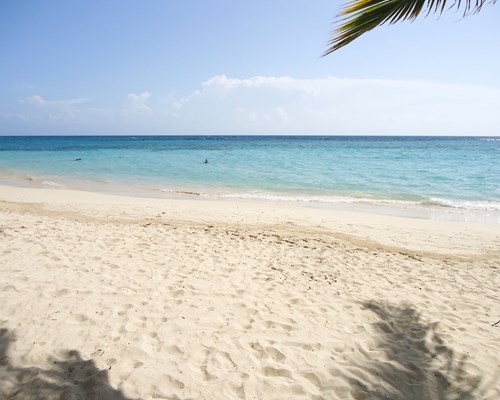 White sand tropical beach with turquoise sea