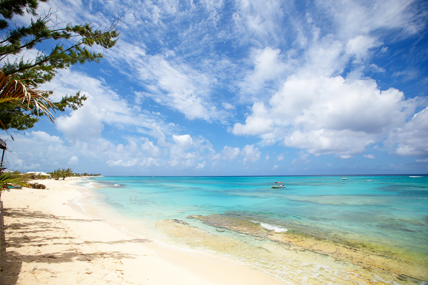 Rustic tropical beach with white sand, overgrown vegetation and bright blue sea