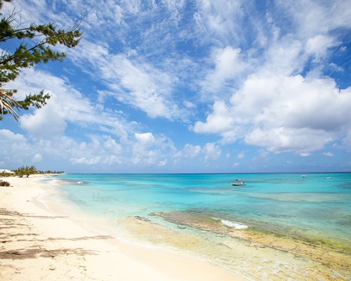 Rustic tropical beach with white sand, overgrown vegetation and bright blue sea
