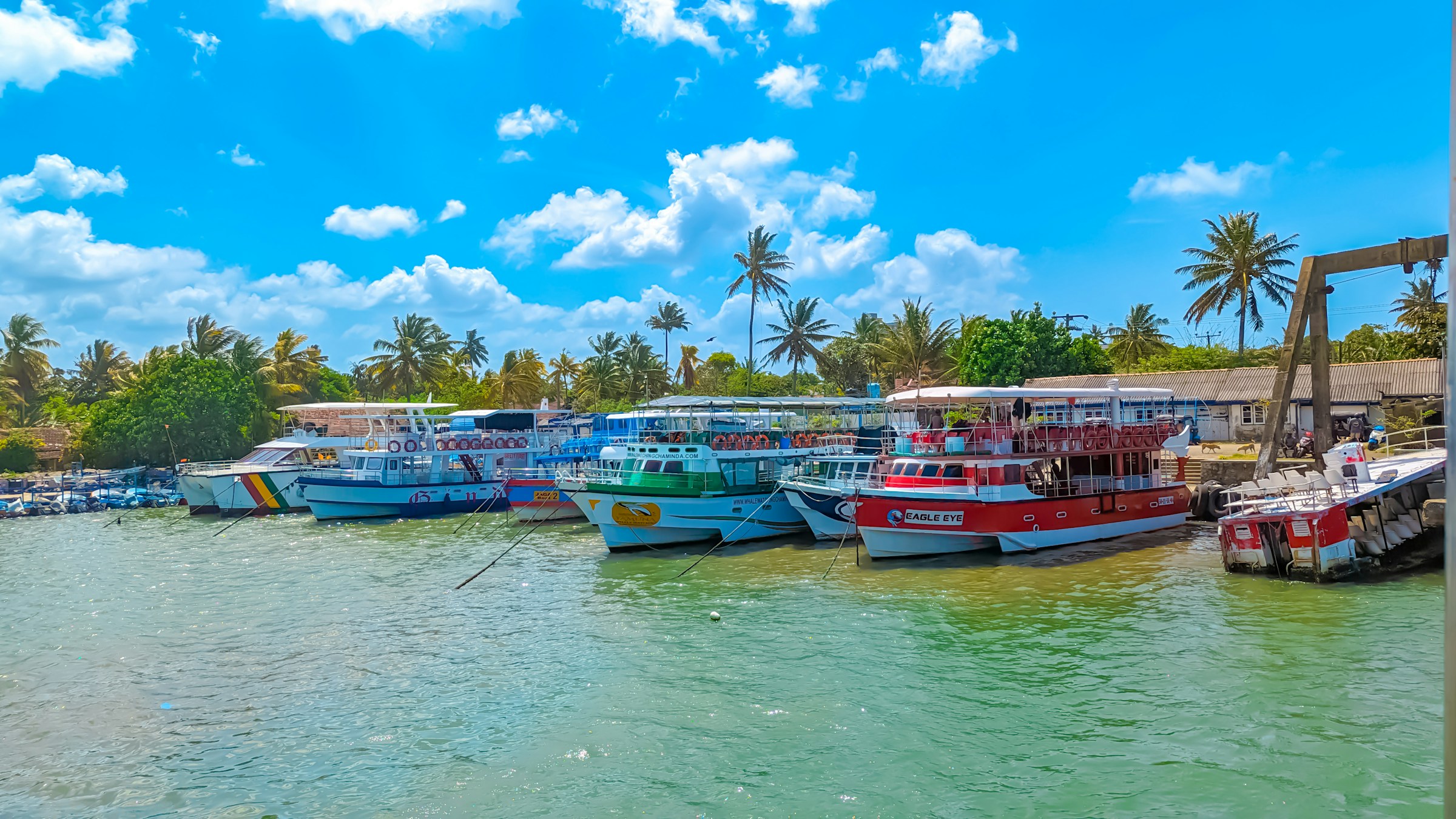 A harbour with colourful boats in Sri Lanka