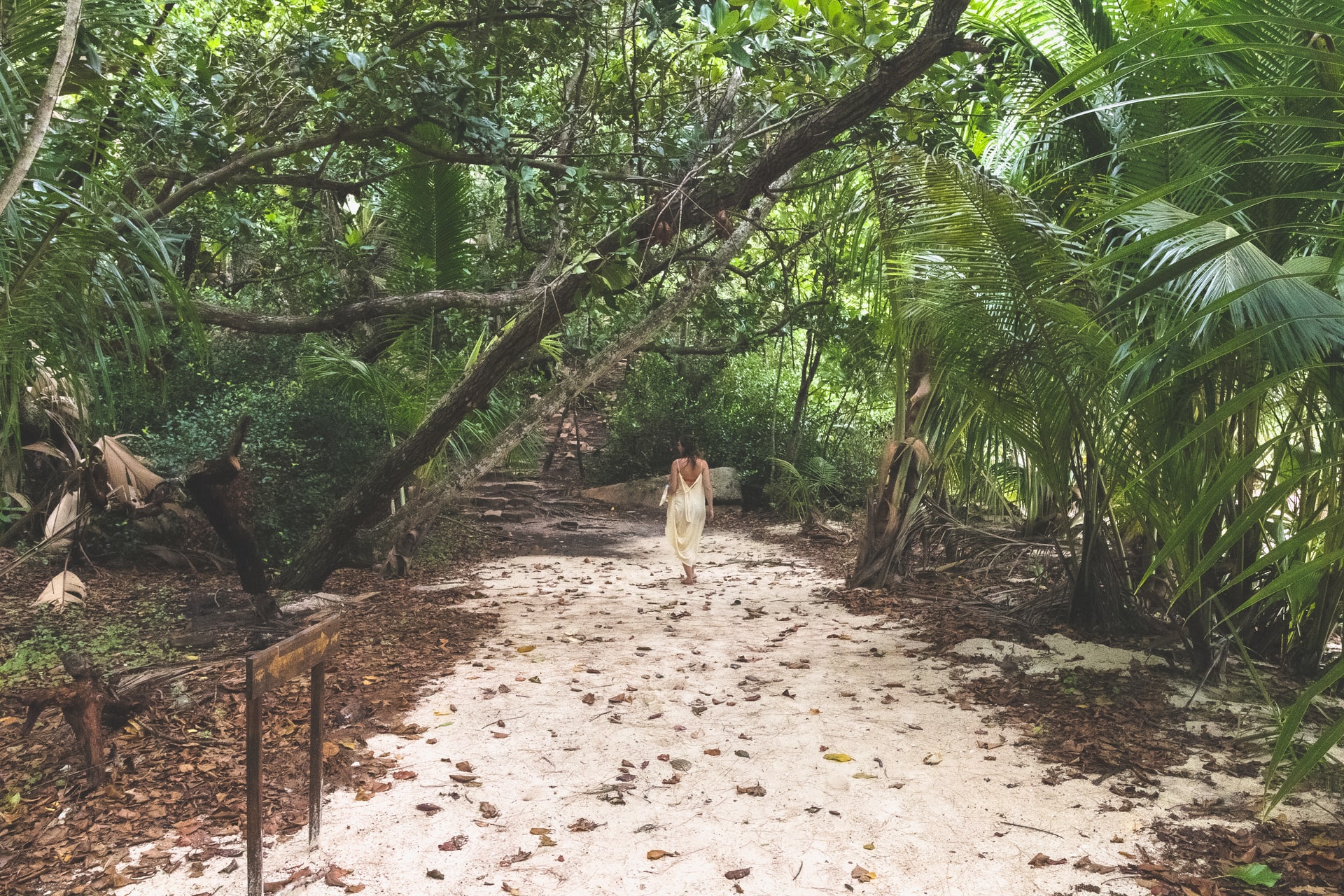 Woman in white dress walking along a sandy path through rainforest