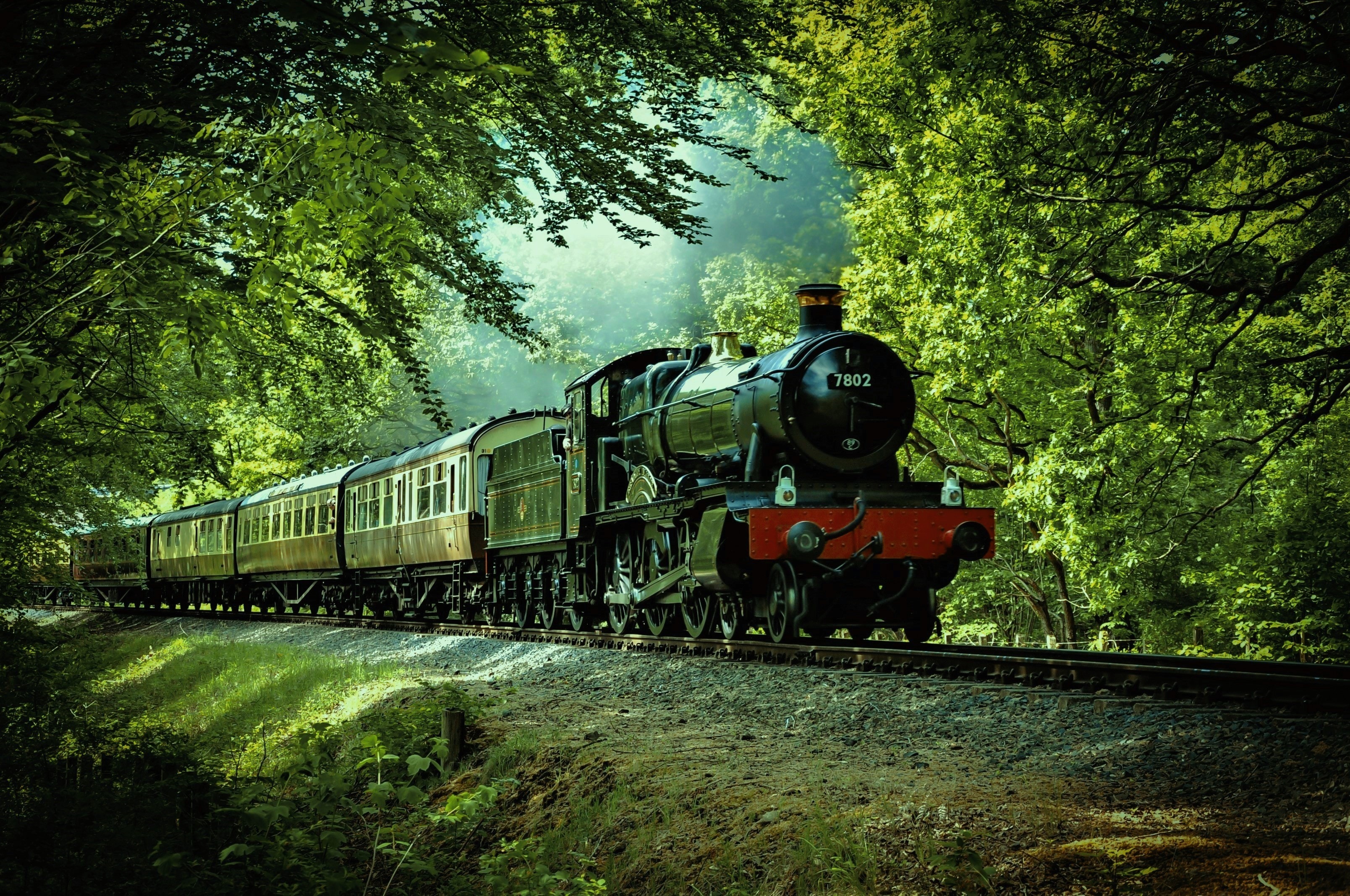 Black steam train through woodlands