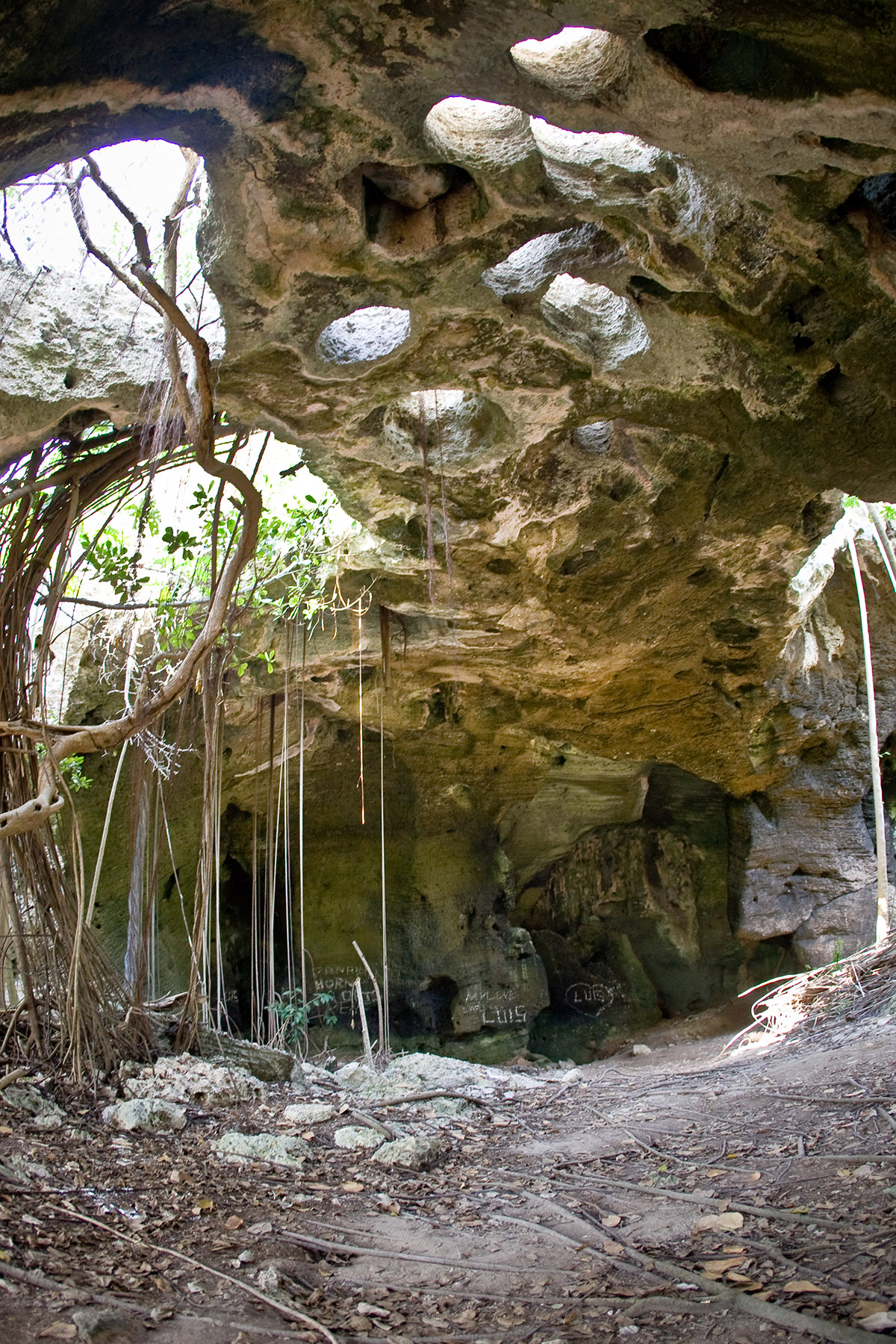 Underground cave with large holes in the cave ceiling