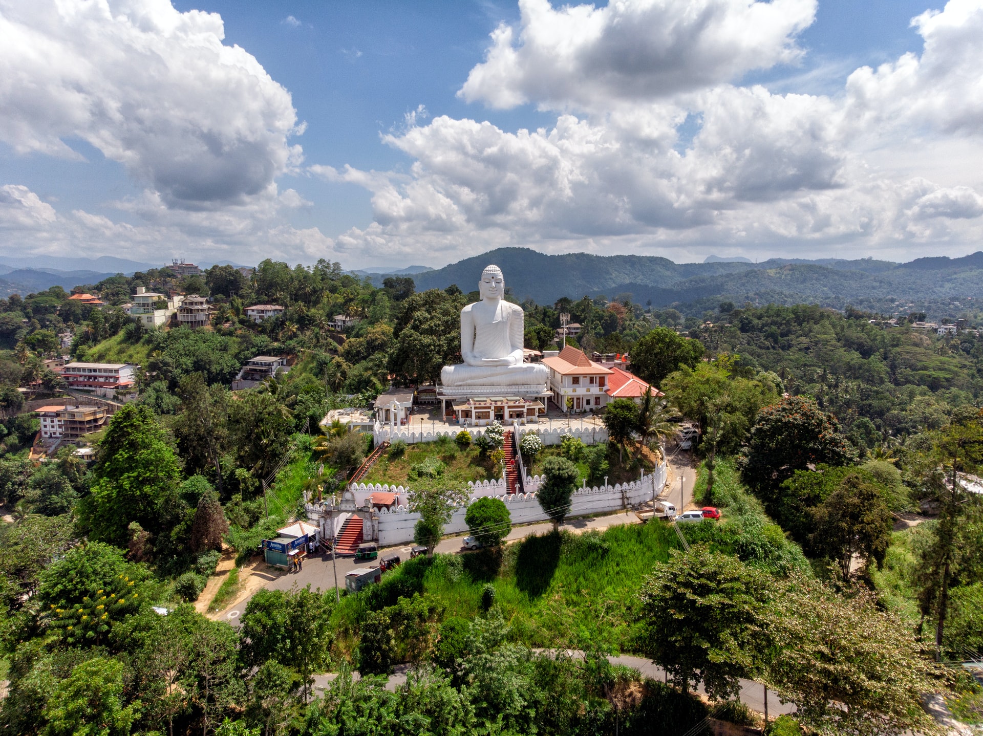 Large white Buddha  statue on a tree covered hill 