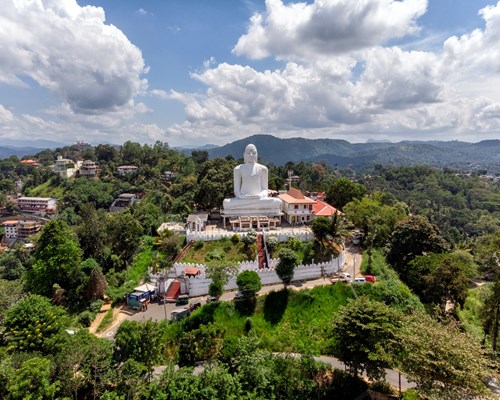 Large white Buddha  statue on a tree covered hill