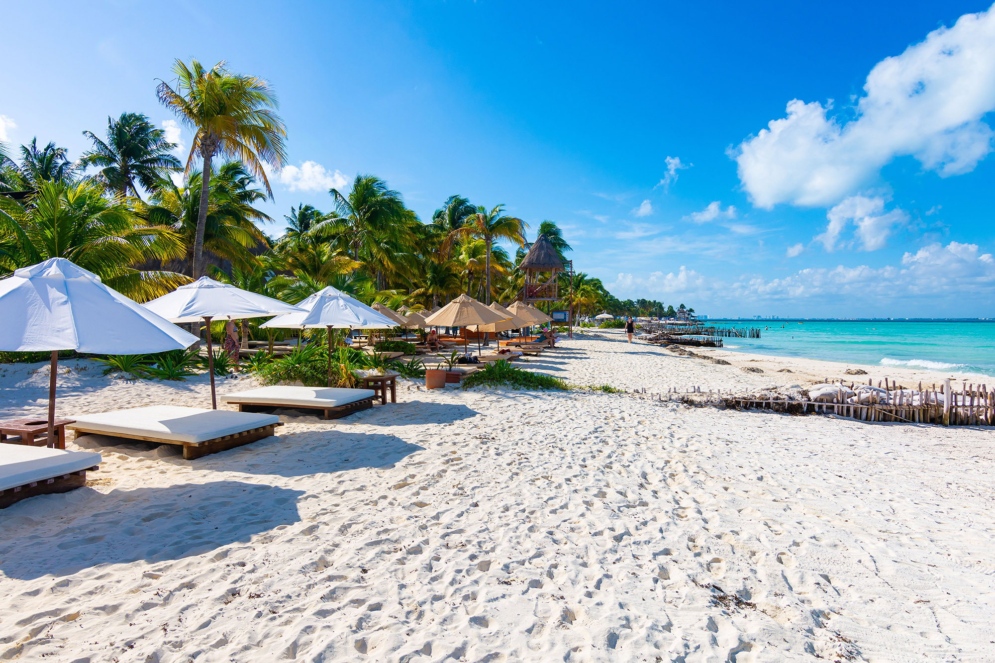 Sun beds with white umbrellas lines up along tropical white sand beach 