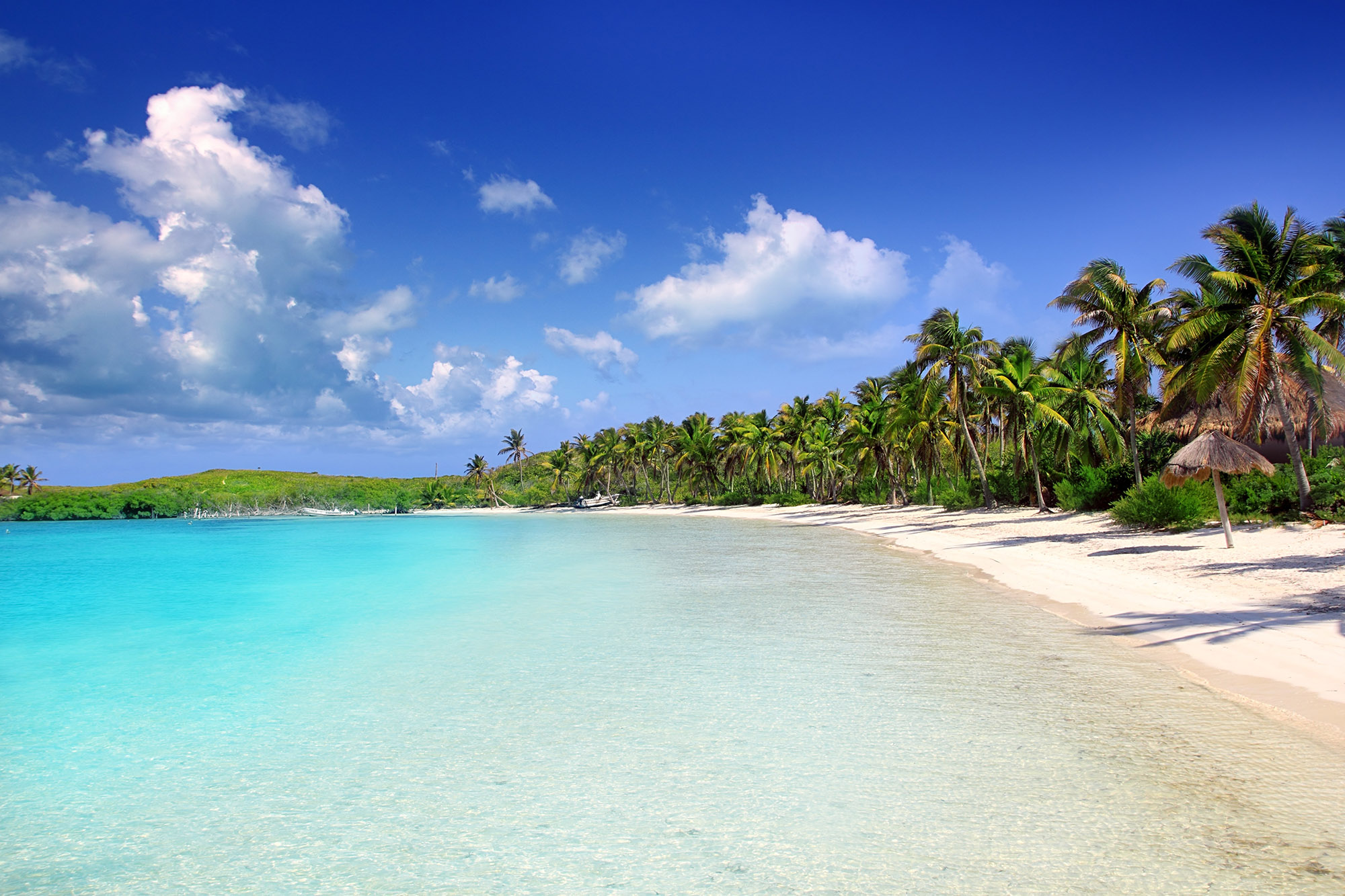 Narrow white sand beach lined with tall palm trees and lapped by shallow turquoise sea -