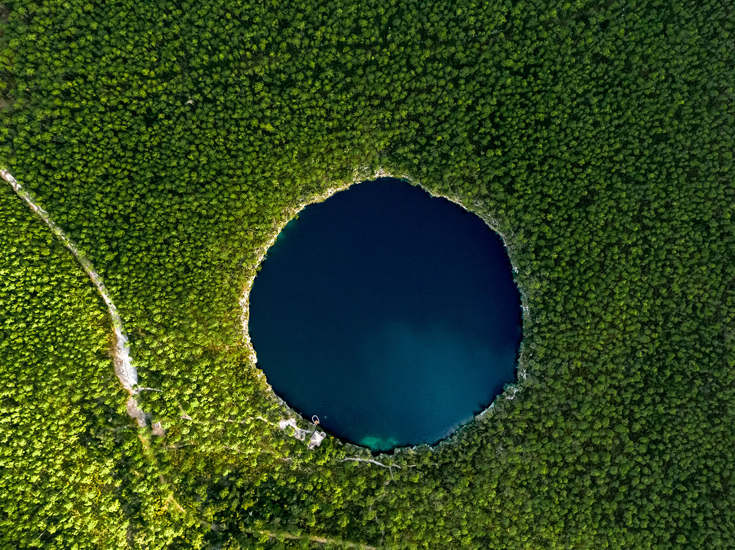 Circular body of water surrounded by a forest 