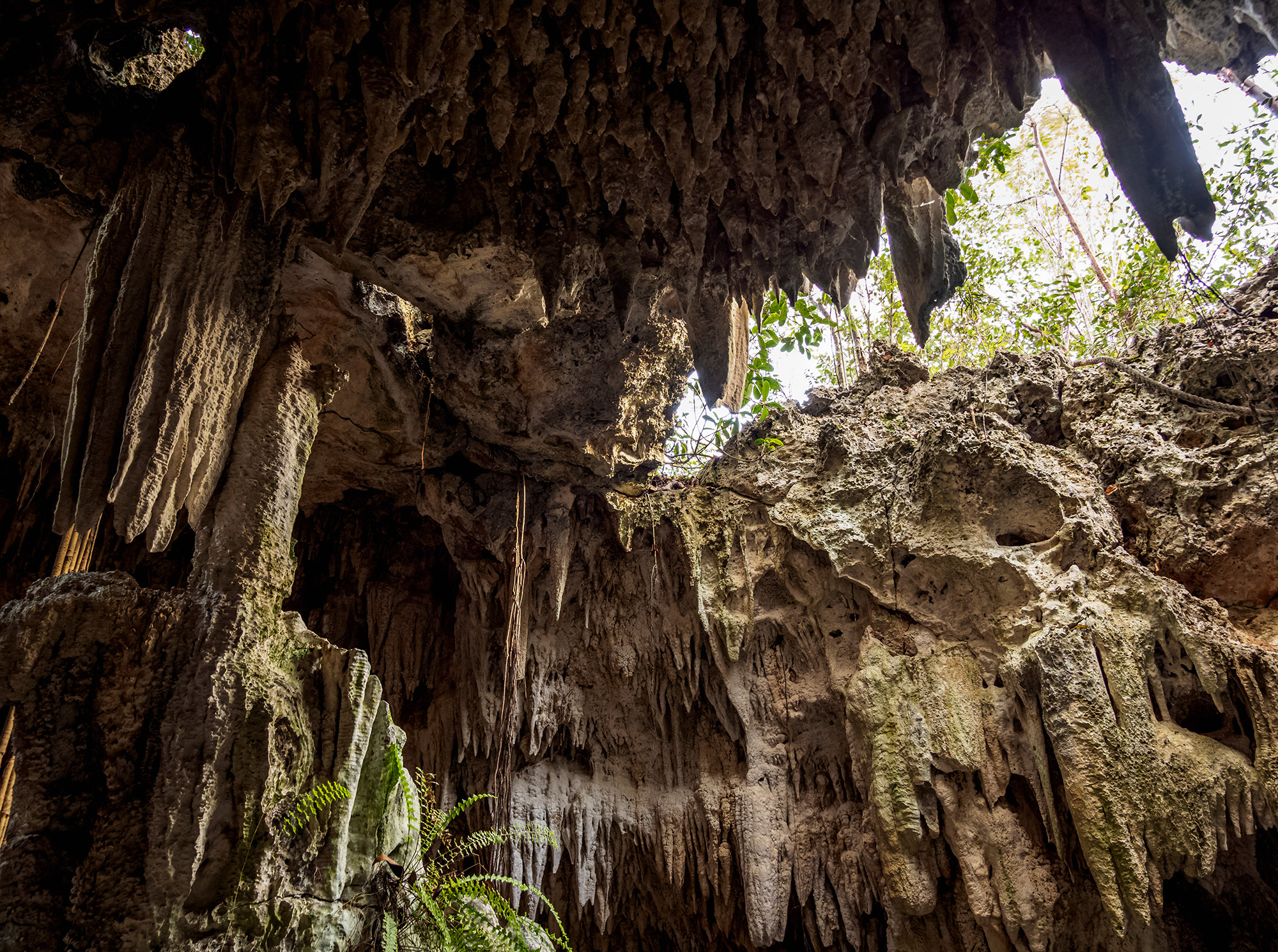 Underground caves with an opening into the jungle - Crystal Caves