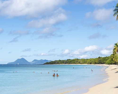 People swimming in the water at a narrow tropical beach lined with tall palm trees