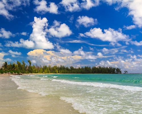 Wild tropical beach lined with forest