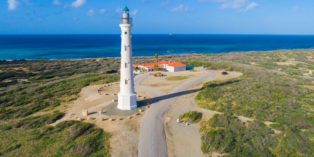 California lighthouse pictured on a sunny day with the sea in the background and greenery that surrounds it