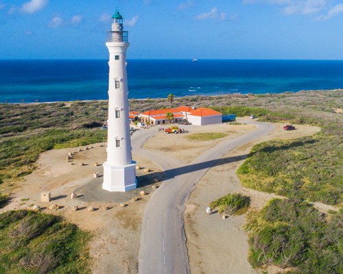 California lighthouse pictured on a sunny day with the sea in the background and greenery that surrounds it