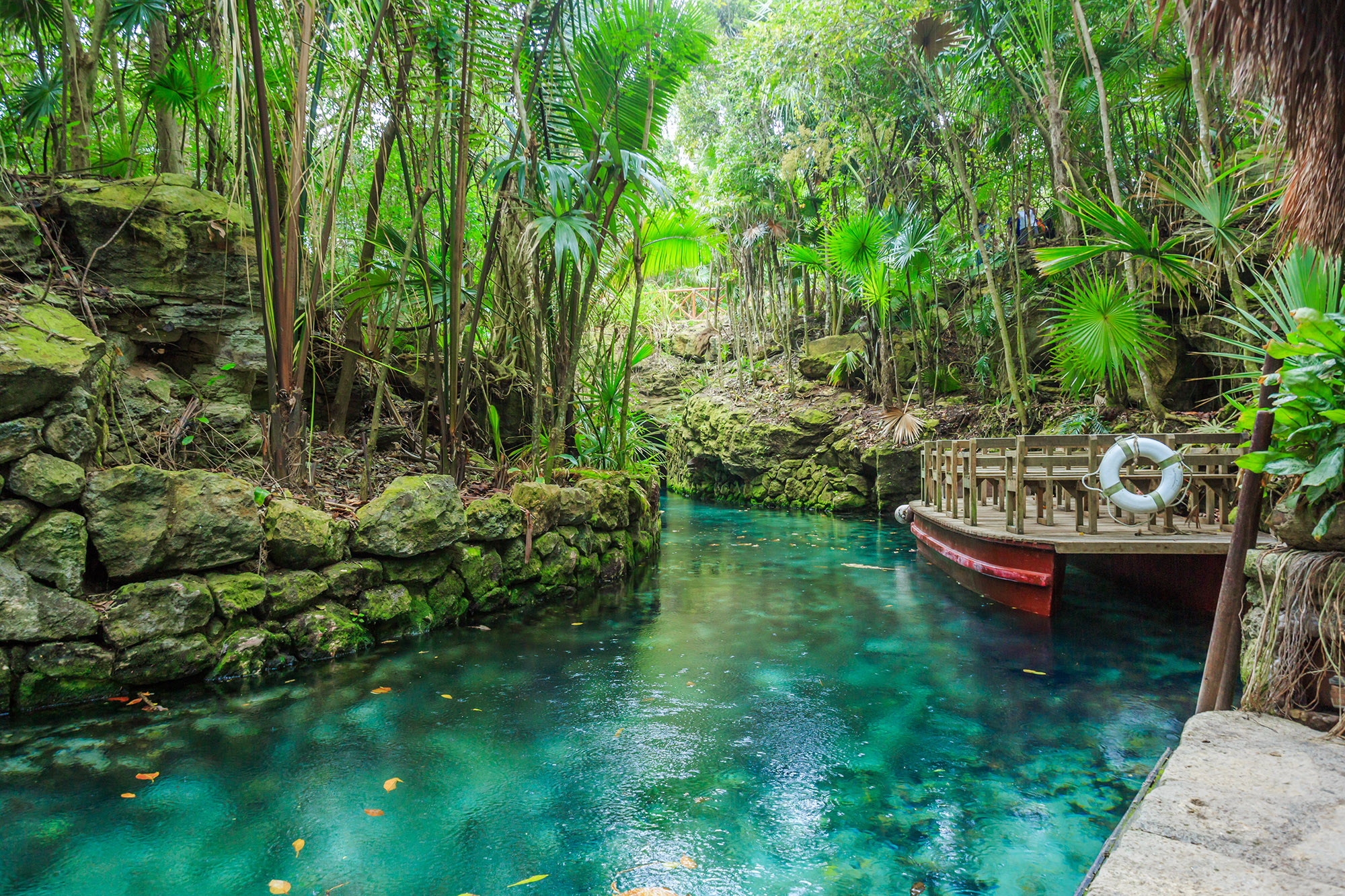 Bright blue, clear river running through a forest at an eco-park in mexico