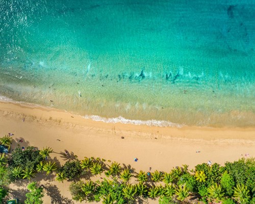 Aerial view of empty golden sand beach and bright blue sea