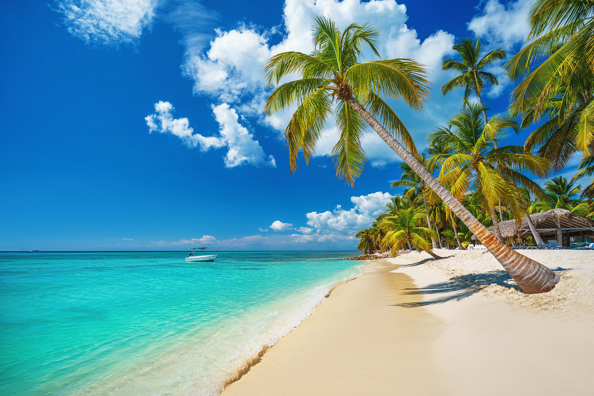 Beautiful tropical beach with azure sea, white sand, palms and blue skies
