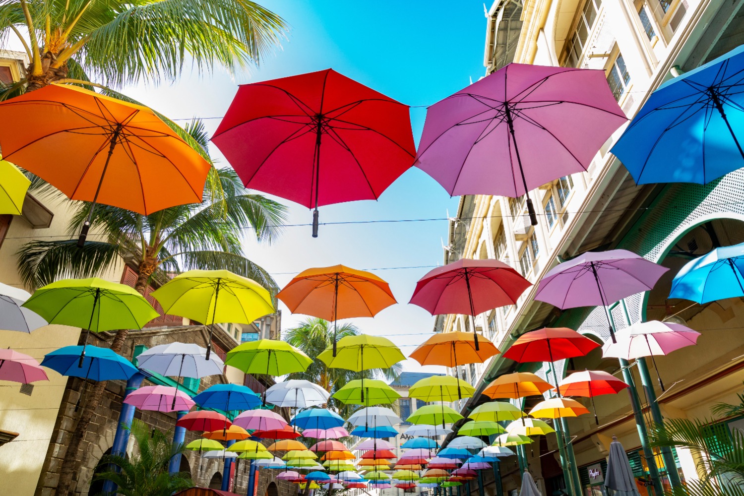 Colorful Hanging Umbrellas In Caudan Waterfront
