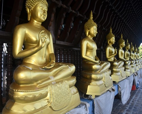 Three large gold Buddha statues outside a building covered in fairy lights
