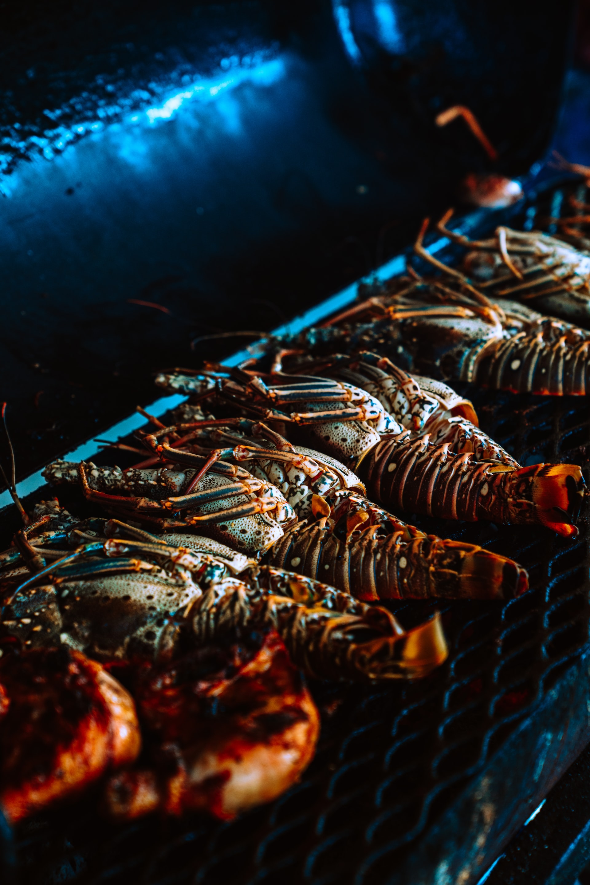 Red lobsters on a grill 