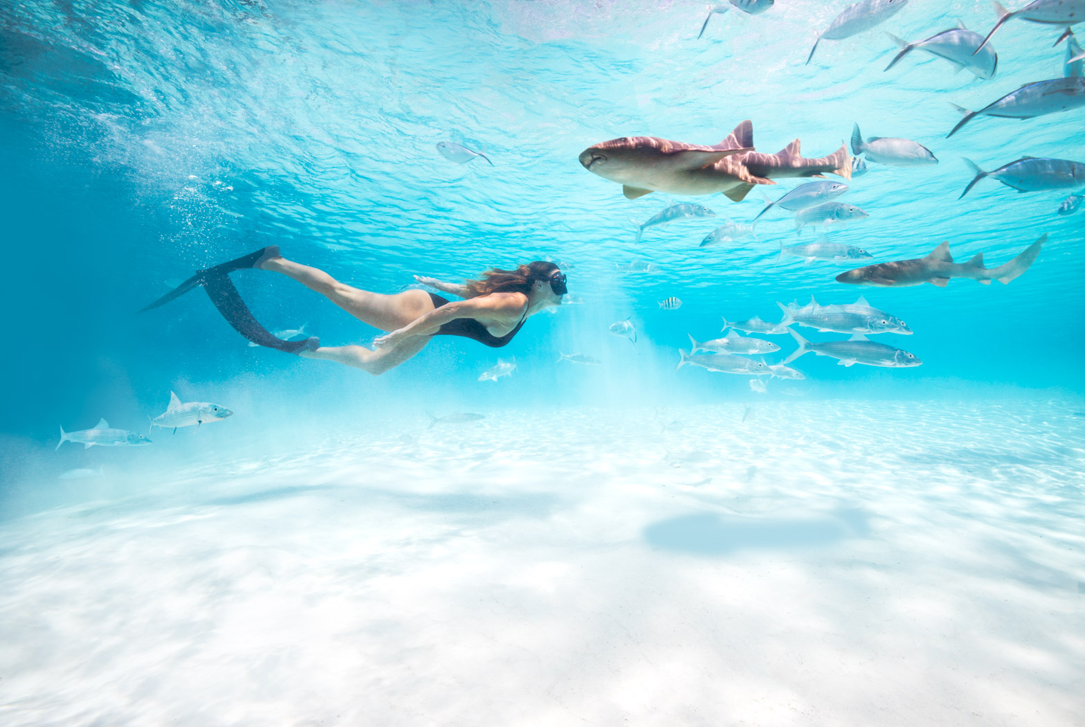 Woman snorkelling in tropical sea with small sharks and fish