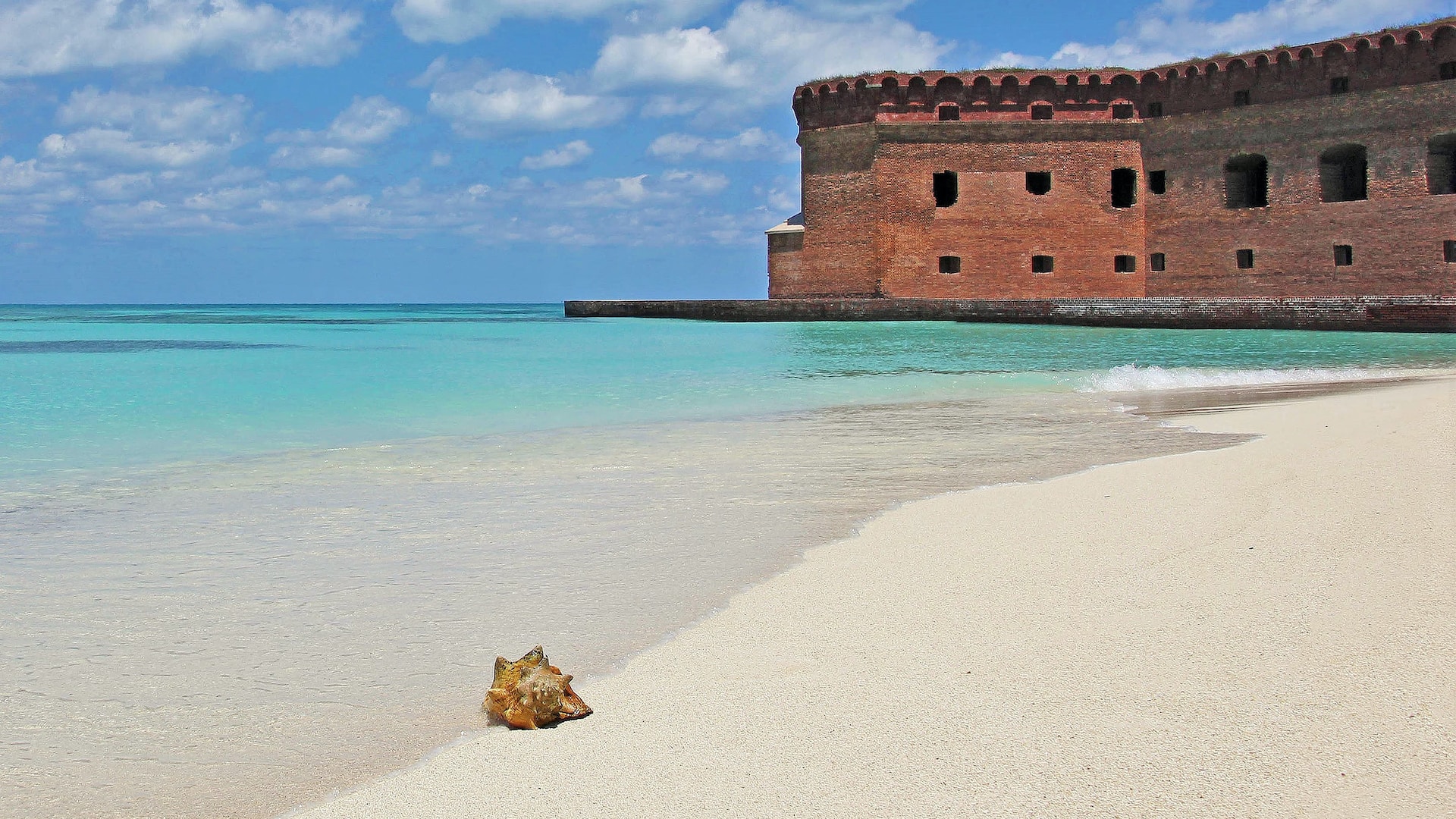 Aa beach at Dry Tortugas National Park