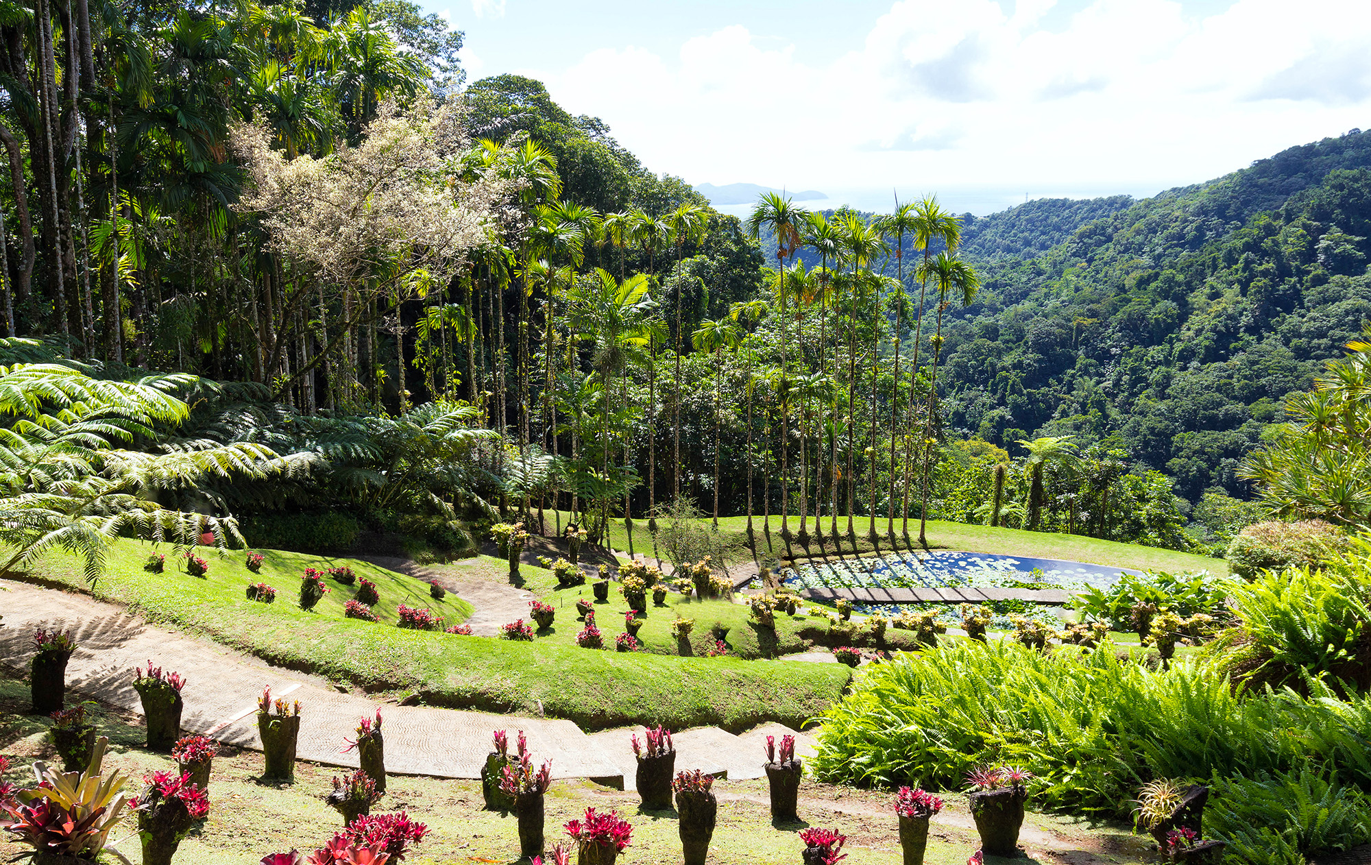 Colourful plants and trees at a pristine tropical garden