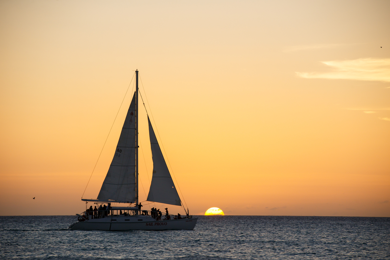 Sailing boat in the sea sailing towards the sunset in Turks and Caicos