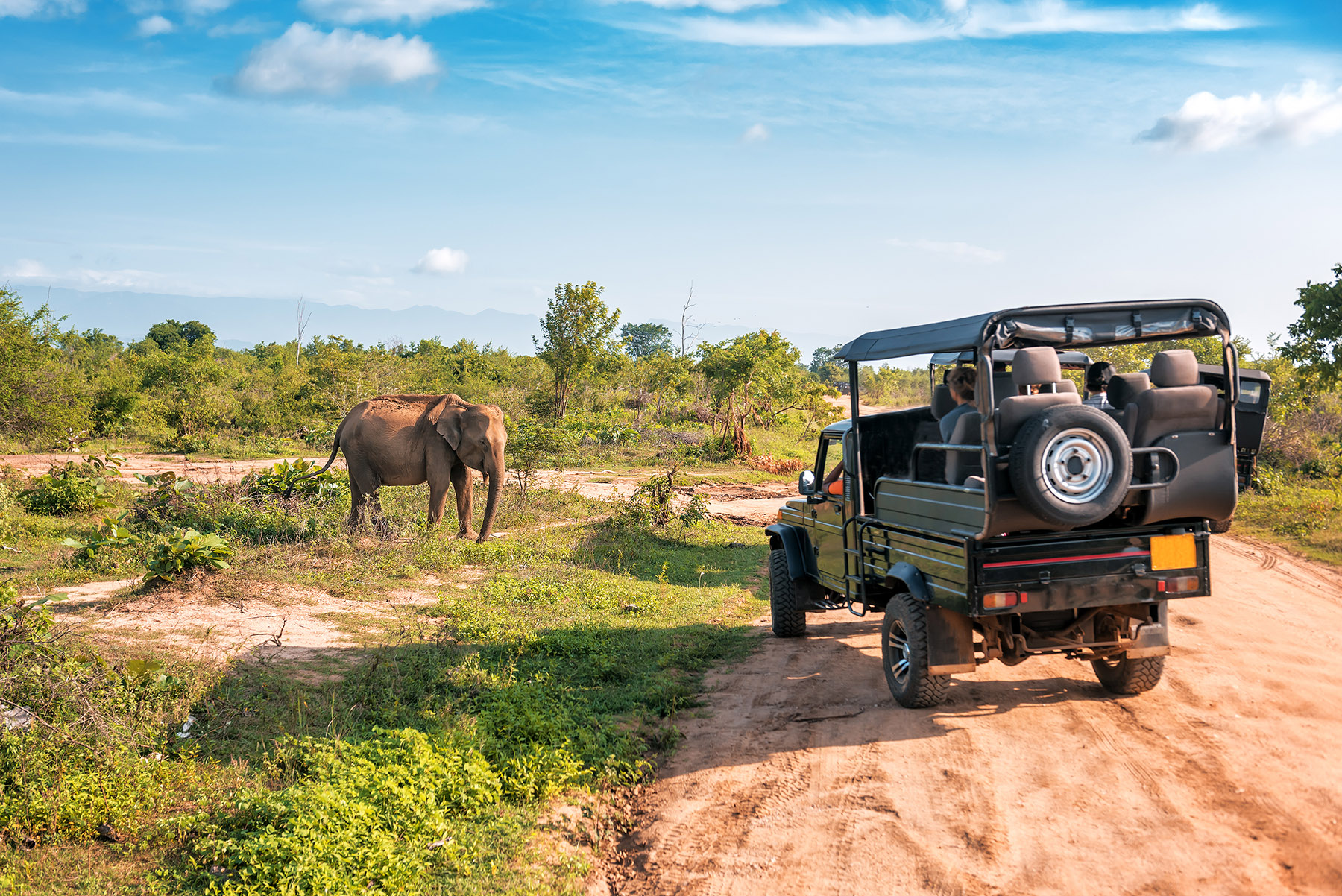 Safari jeep next to an elephant