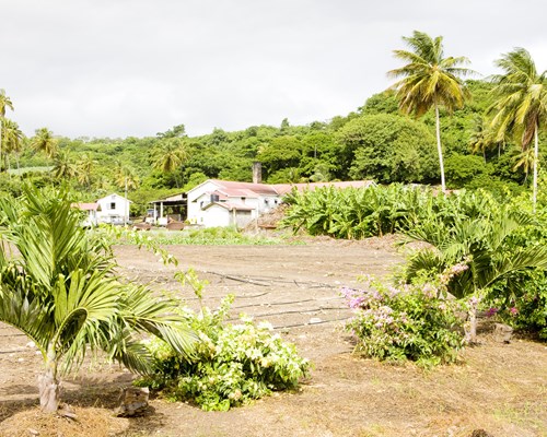 River Antoine Rum Distillery in Grenada