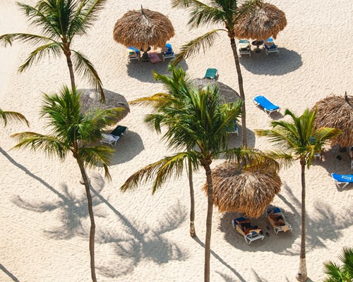 Palm trees and palm parasols on a white sand tropical beach
