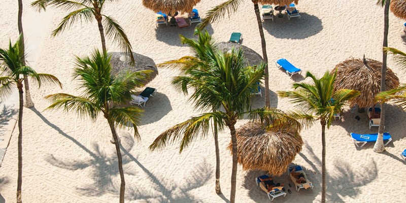 Palm trees and palm parasols on a white sand tropical beach
