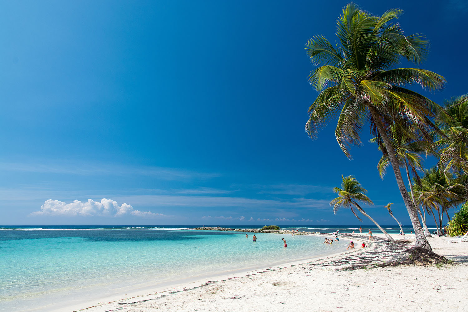 Pristine white sand beach in a sunny tropical destination