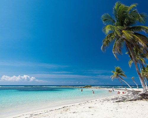 White sand stretch of beach at Plage Caravelle in Guadeloupe