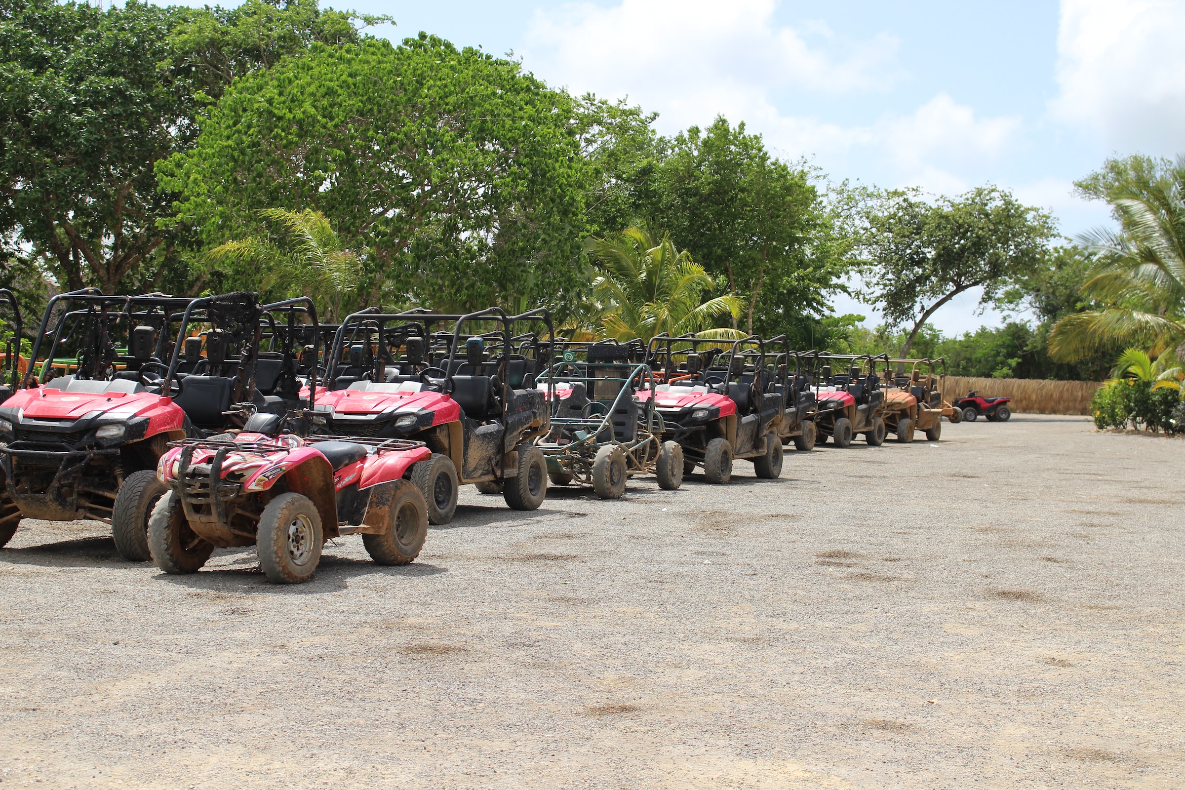 An array of quadbikes lined up by the trees