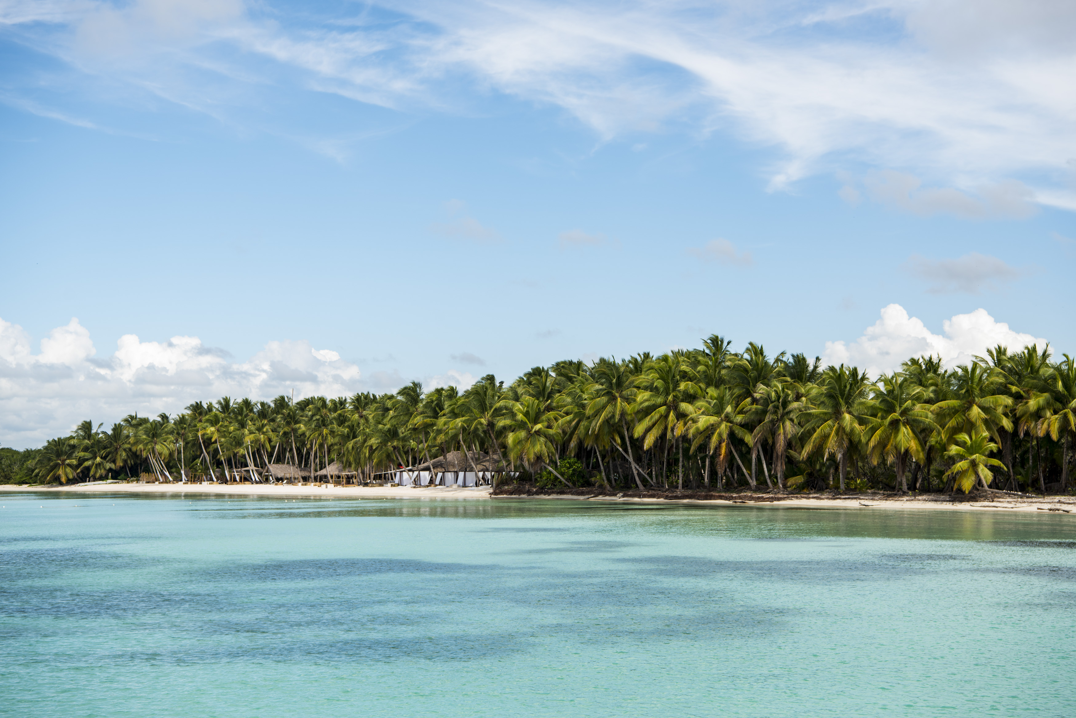 Small tropical island covered in palm trees